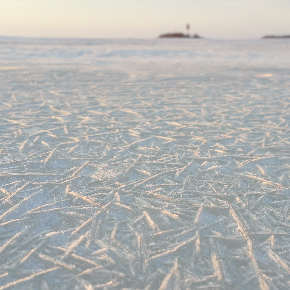 Profiilikuva: Juha Korhonen