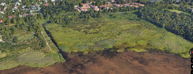 Lintujen katselulavan rakentaminen Pateniemen Kuivasniitylle