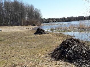 Oulun järvihelmien Pyykös- ja Kuivasjärvien uimarantojen parantaminen